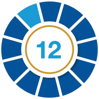 Principle 12