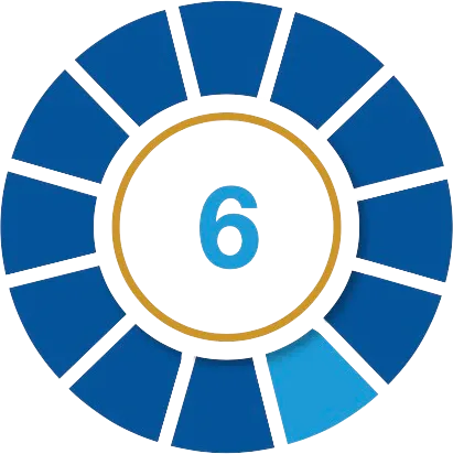 Principle 6